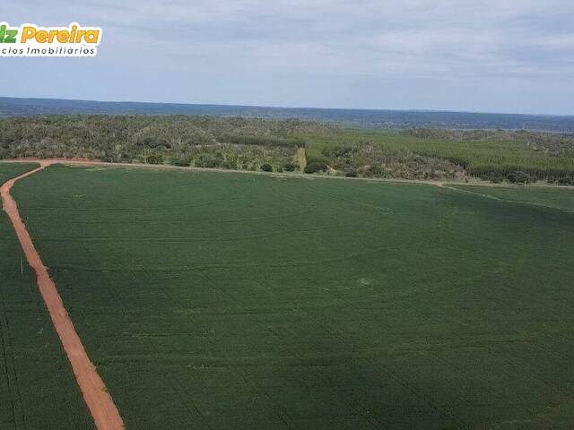 Fazenda para Venda em Goiatins - 5