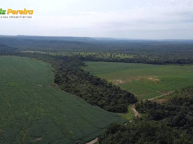 Fazenda para Venda em Goiatins - 4
