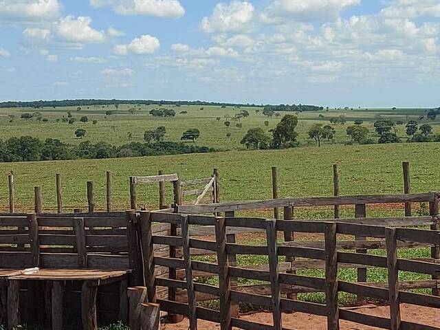 #3034 - Fazenda para Venda em Campo Grande - MS - 1