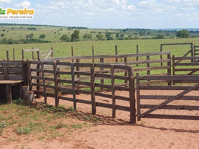 #3034 - Fazenda para Venda em Campo Grande - MS - 3