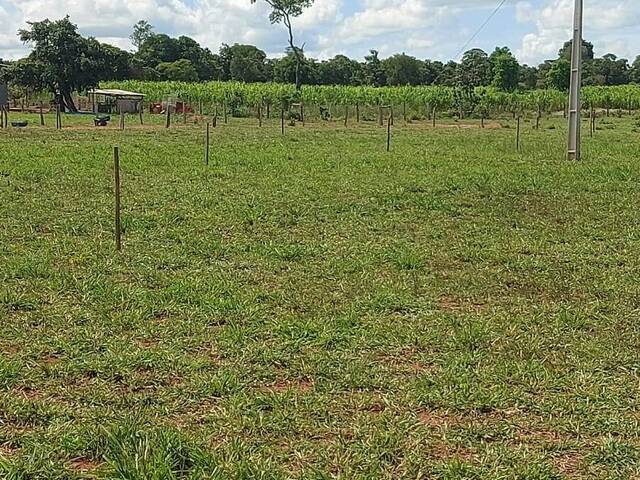 #3034 - Fazenda para Venda em Campo Grande - MS - 2