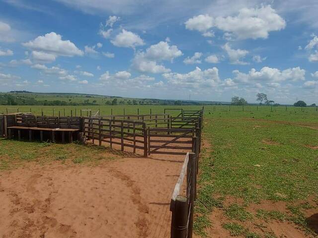 Fazenda para Venda em Campo Grande - 4
