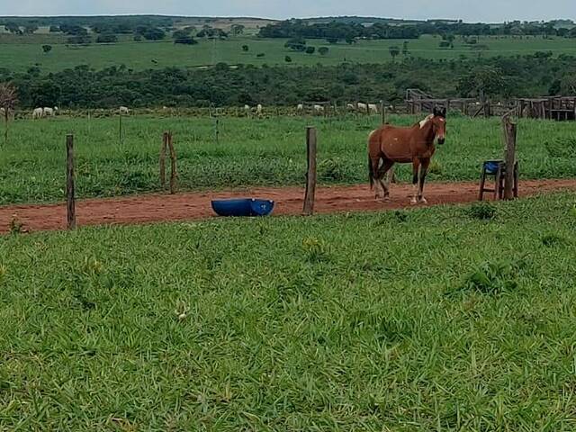 Venda em Jardim Imá - Campo Grande