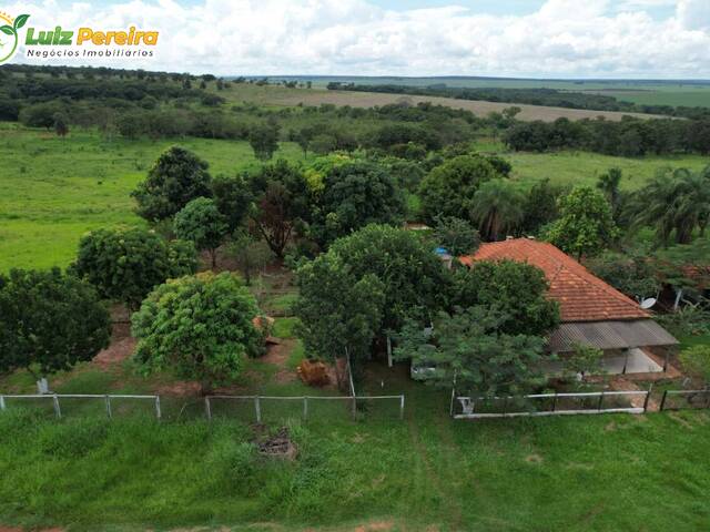 #3035 - Fazenda para Venda em Ribas do Rio Pardo - MS - 2