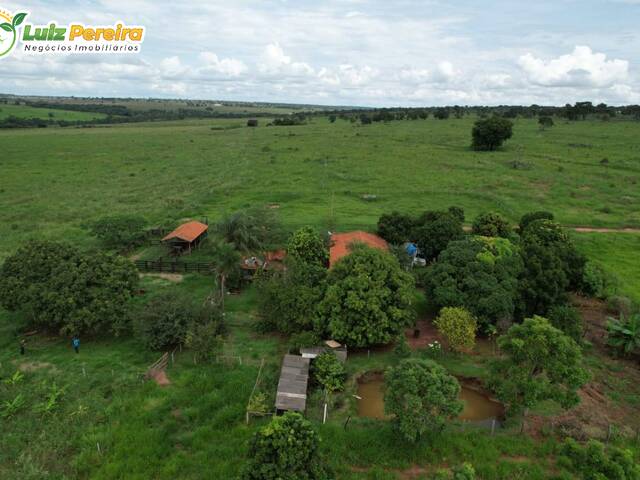 Fazenda para Venda em Ribas do Rio Pardo - 5