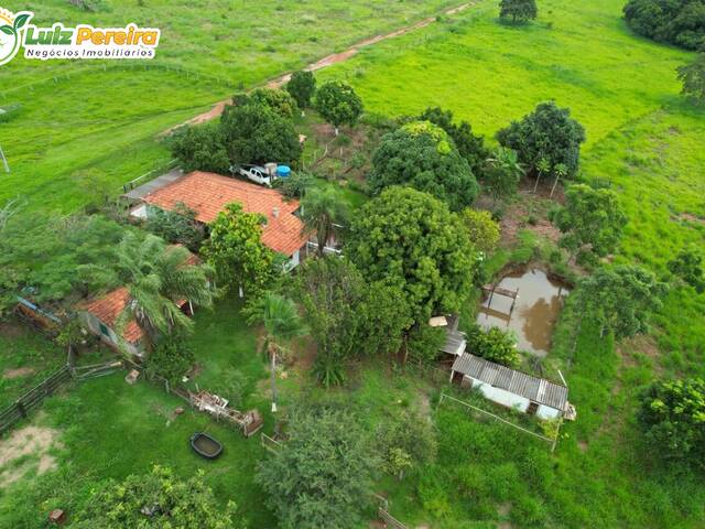 #3035 - Fazenda para Venda em Ribas do Rio Pardo - MS - 3