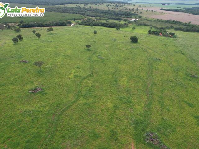 #3035 - Fazenda para Venda em Ribas do Rio Pardo - MS