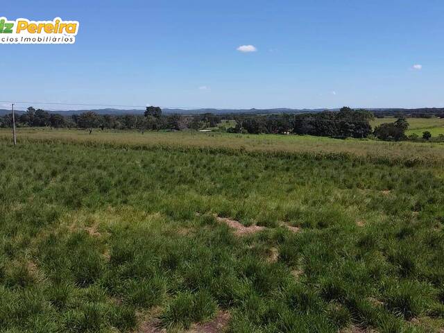 Fazenda para Venda em Nova Xavantina - 5