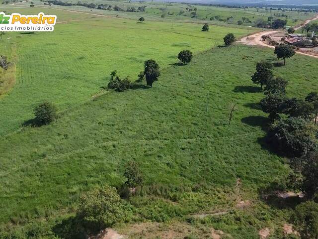 Fazenda para Venda em Nova Xavantina - 4