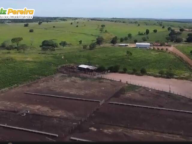 #3036 - Fazenda para Venda em Nova Xavantina - MT - 2