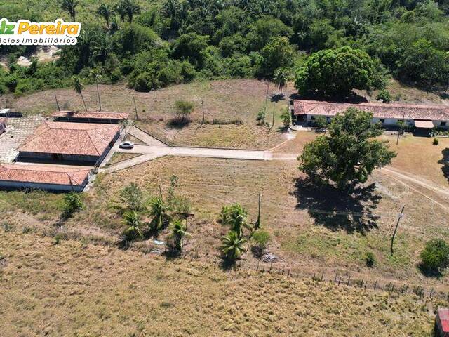 #3037 - Fazenda para Venda em Pedro Gomes - MS