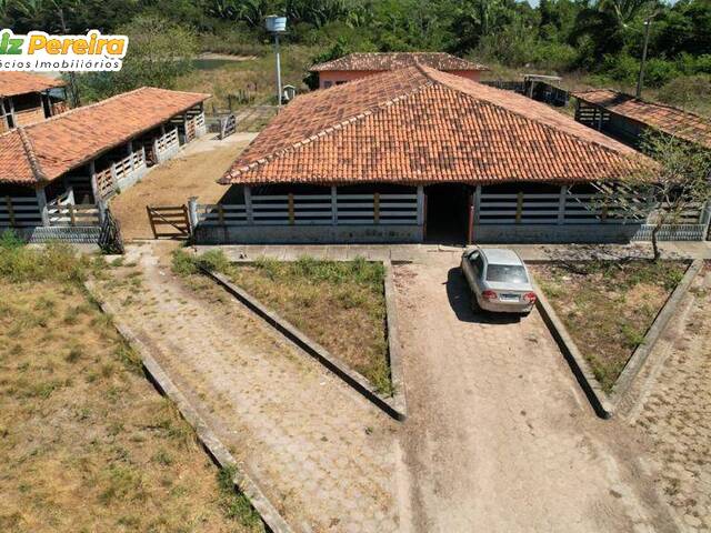 Fazenda para Venda em Pedro Gomes - 4