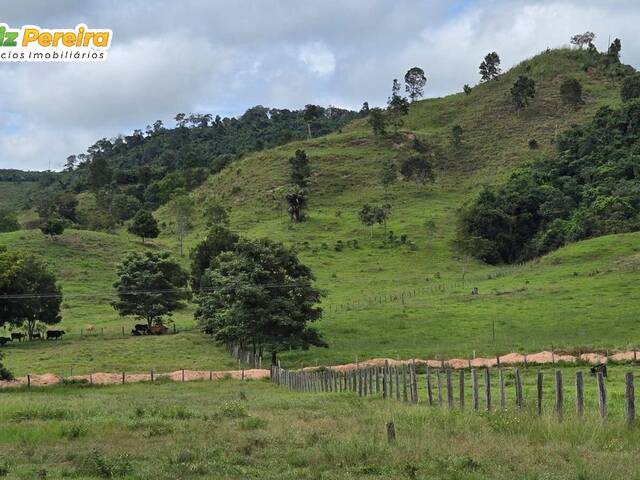 #3039 - Fazenda para Venda em João Lisboa - MA - 1