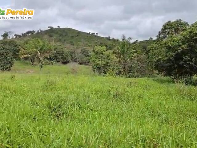 #3039 - Fazenda para Venda em João Lisboa - MA - 2