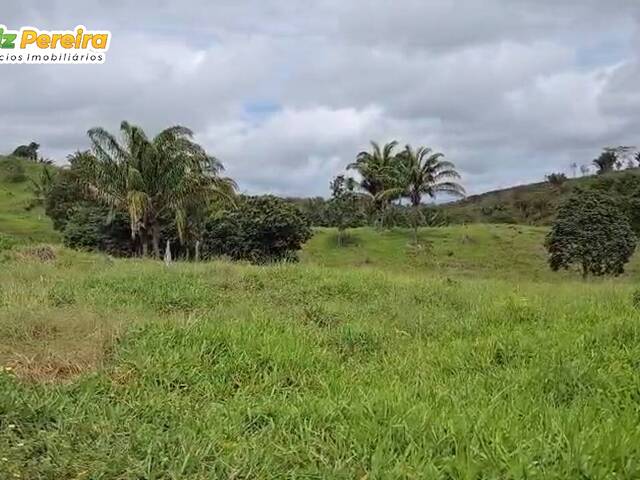 #3039 - Fazenda para Venda em João Lisboa - MA - 3