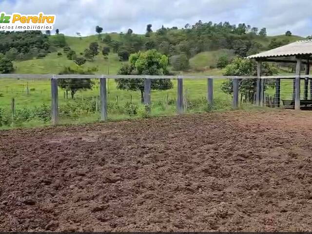 Fazenda para Venda em João Lisboa - 5
