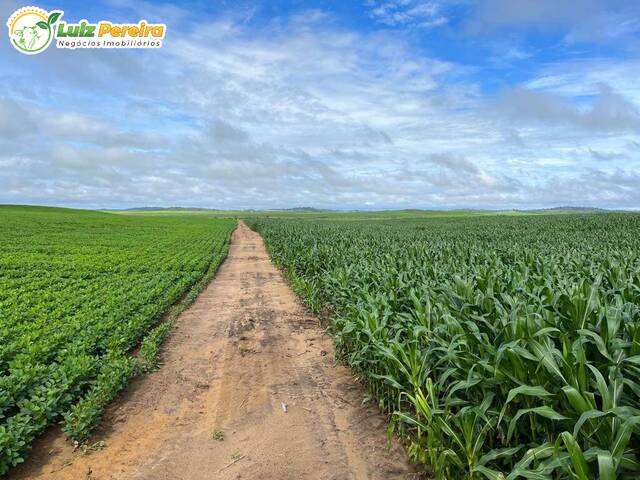 #3041 - Fazenda para Venda em Ulianópolis - PA - 2