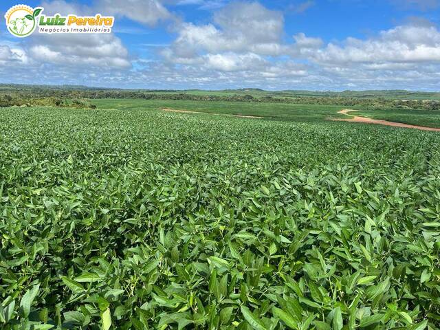 #3041 - Fazenda para Venda em Ulianópolis - PA - 1