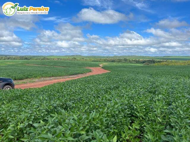 #3041 - Fazenda para Venda em Ulianópolis - PA - 3
