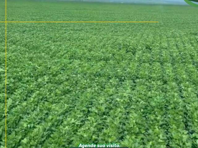 #3042 - Fazenda para Venda em Estreito - MA - 2