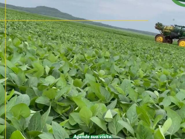 #3042 - Fazenda para Venda em Estreito - MA - 3