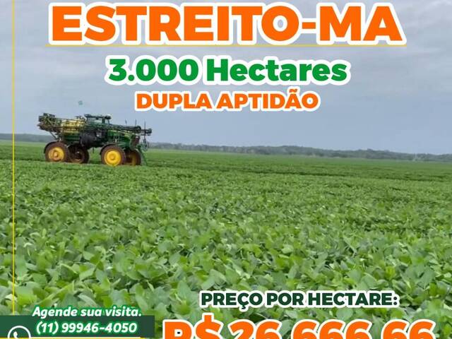 Fazenda para Venda em Estreito - 4