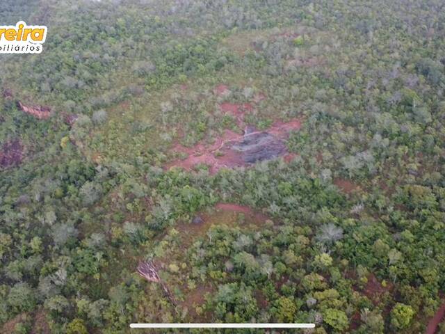 #3043 - Fazenda para Venda em Palmeiras do Tocantins - TO - 1