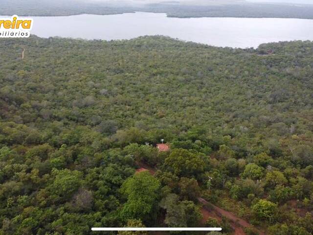 #3043 - Fazenda para Venda em Palmeiras do Tocantins - TO - 2
