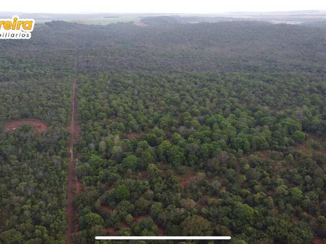 Fazenda para Venda em Palmeiras do Tocantins - 4