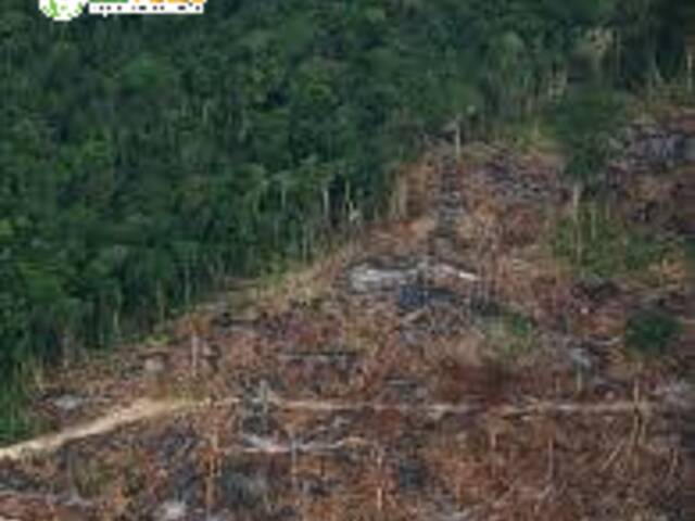 Fazenda para Venda em Pauini - 5
