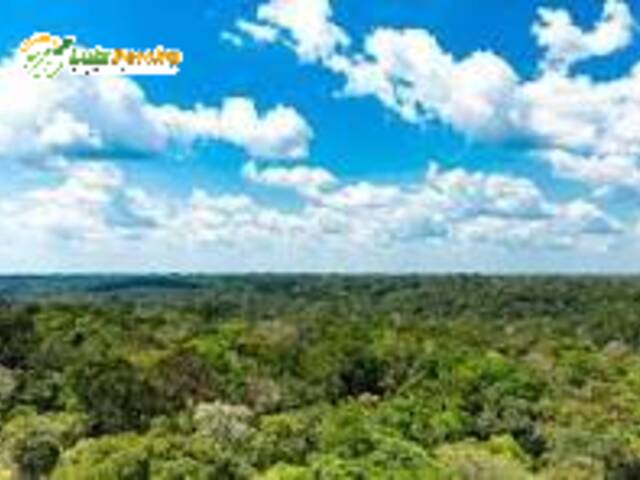 #3044 - Fazenda para Venda em Pauini - AM - 3