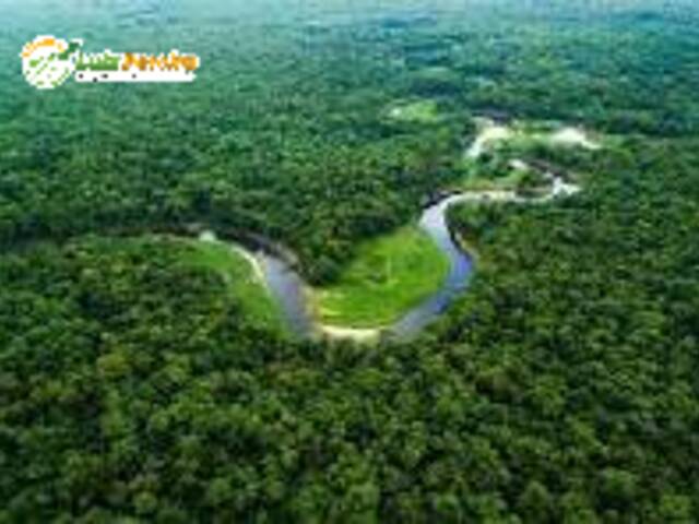 Fazenda para Venda em Pauini - 4