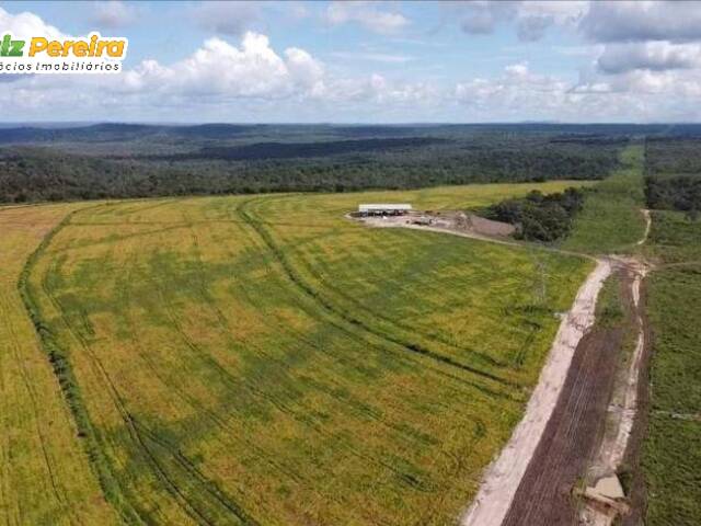 #3045 - Fazenda para Venda em Parnarama - MA - 1