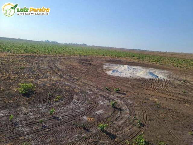 Fazenda para Venda em Parnarama - 4