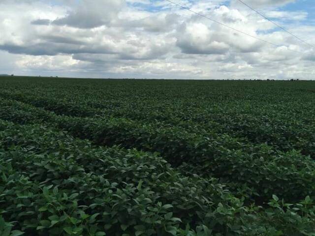 #3045 - Fazenda para Venda em Parnarama - MA - 3