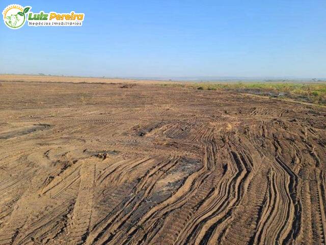 Fazenda para Venda em Parnarama - 5