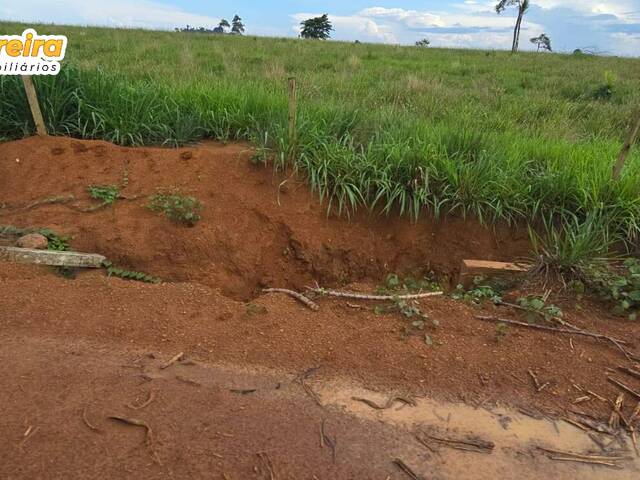 Fazenda para Venda em Cumaru do Norte - 4