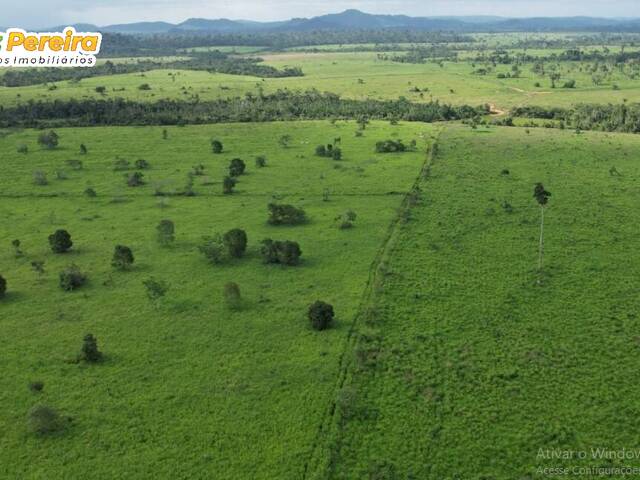 #3046 - Fazenda para Venda em Cumaru do Norte - PA - 1