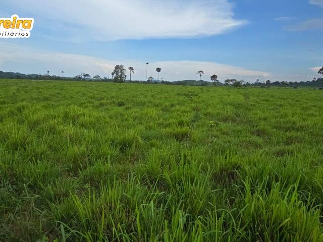 #3046 - Fazenda para Venda em Cumaru do Norte - PA - 3