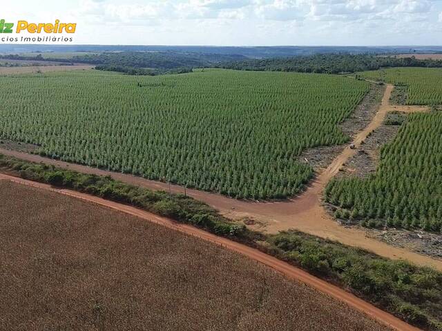 Fazenda para Venda em Açailândia - 4
