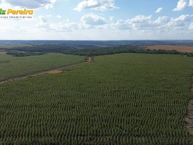 Fazenda para Venda em Açailândia - 5