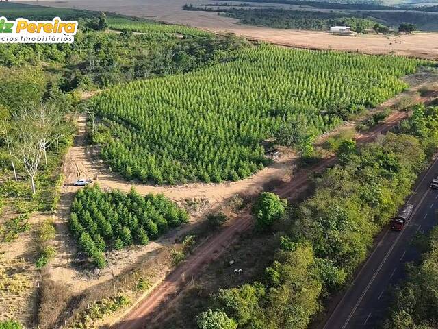 #3048 - Fazenda para Venda em Açailândia - MA - 2