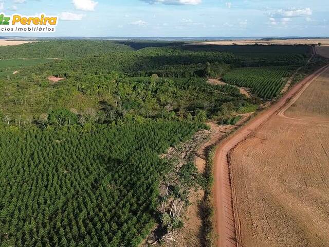 #3048 - Fazenda para Venda em Açailândia - MA - 3