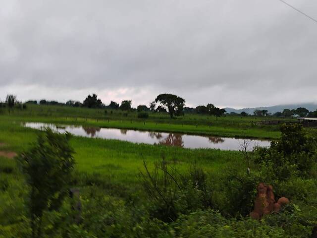 Venda em Emerencio - Conceição do Araguaia