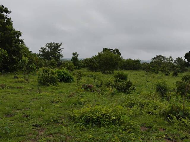 #3049 - Fazenda para Venda em Conceição do Araguaia - PA - 2