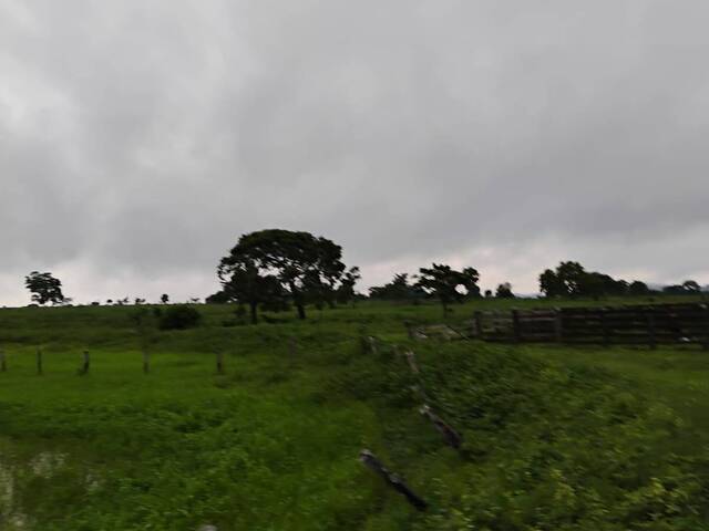 #3049 - Fazenda para Venda em Conceição do Araguaia - PA - 3