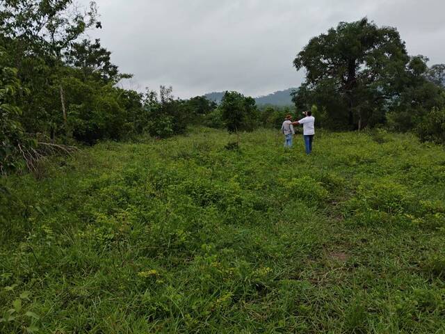 Fazenda para Venda em Conceição do Araguaia - 5