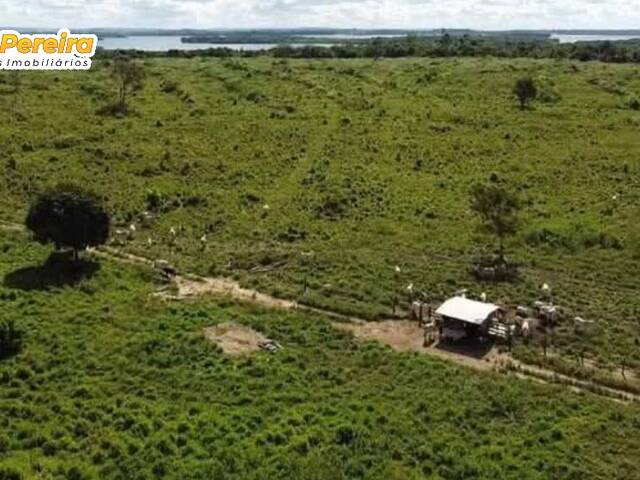 Fazenda para Venda em Breu Branco - 4