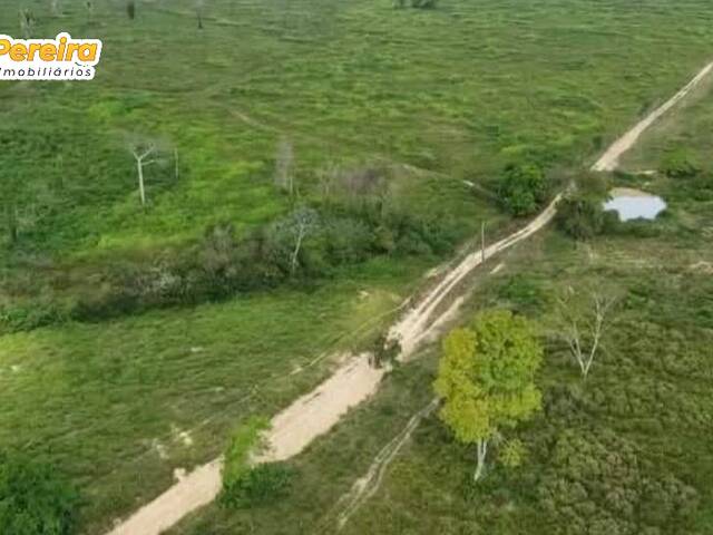 Fazenda para Venda em Breu Branco - 5