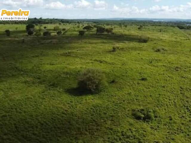#3050 - Fazenda para Venda em Breu Branco - PA - 3